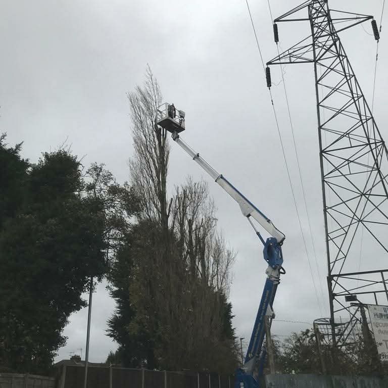 Powerline Clearance